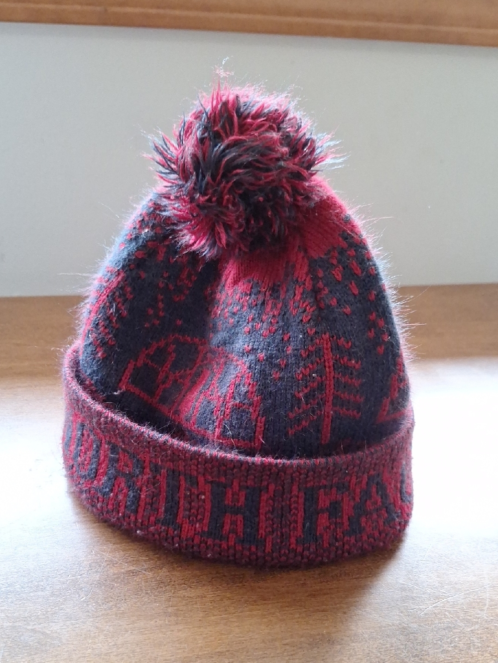 The North Face Kids Pom Beanie in Red and Black